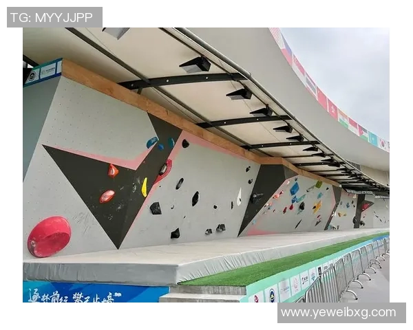 南京攀岩队在极限运动嘉年华中的战术表现分析与点评