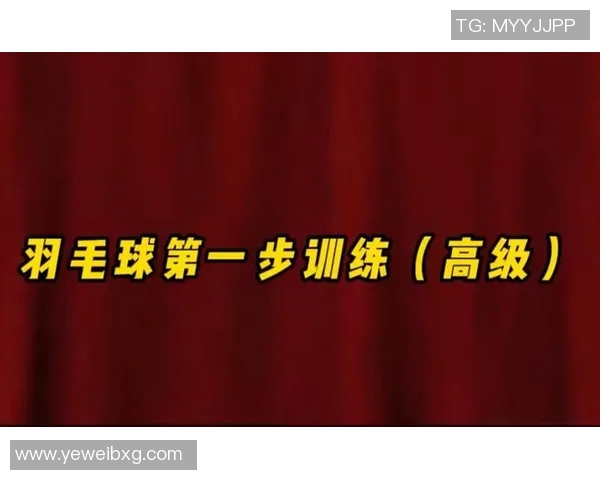 从零基础到羽毛球高手的全面提升指南与实用技巧分享
